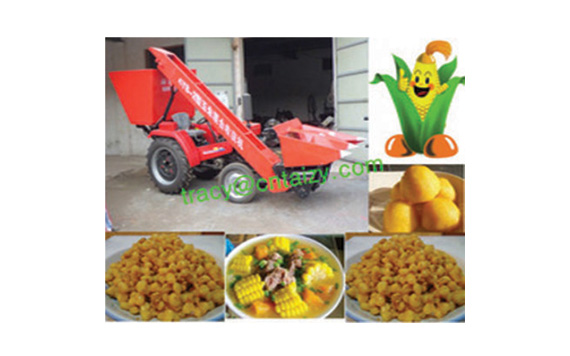 example image